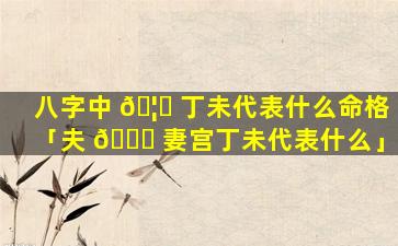 八字中 🦅 丁未代表什么命格「夫 🐒 妻宫丁未代表什么」